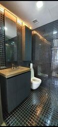 Skysuites@Anson (D2), Apartment #474209381